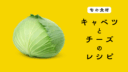 【旬の食材】キャベツを使ったチーズ料理の５つのレシピ