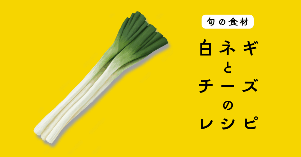 【旬の食材】白ネギを使ったチーズ料理の5つのレシピ 【旬の食材】白ネギを使ったチーズ料理の5つのレシピ