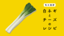 【旬の食材】白ネギを使ったチーズ料理の５つのレシピ