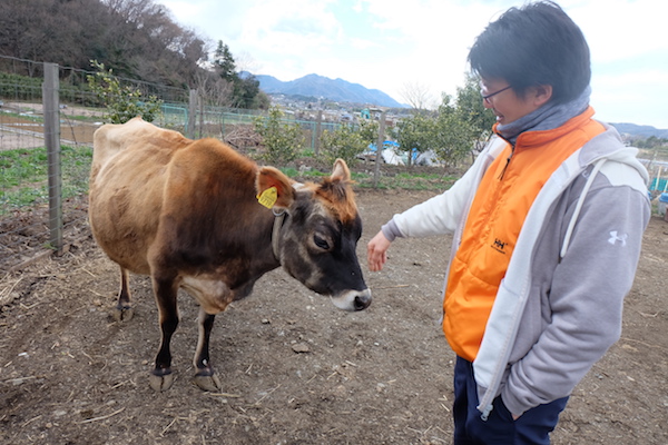 日本一小さな牧場は、牛乳大好き少年の夢から生まれた《牧歌 前編》