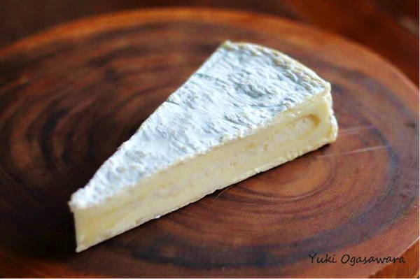 白カビチーズ